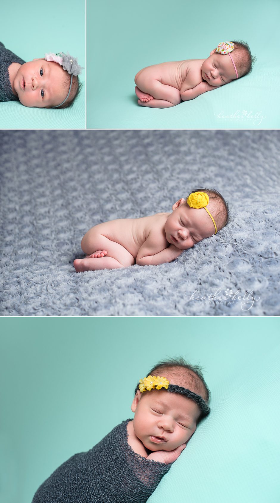 darien ct newborn photographer