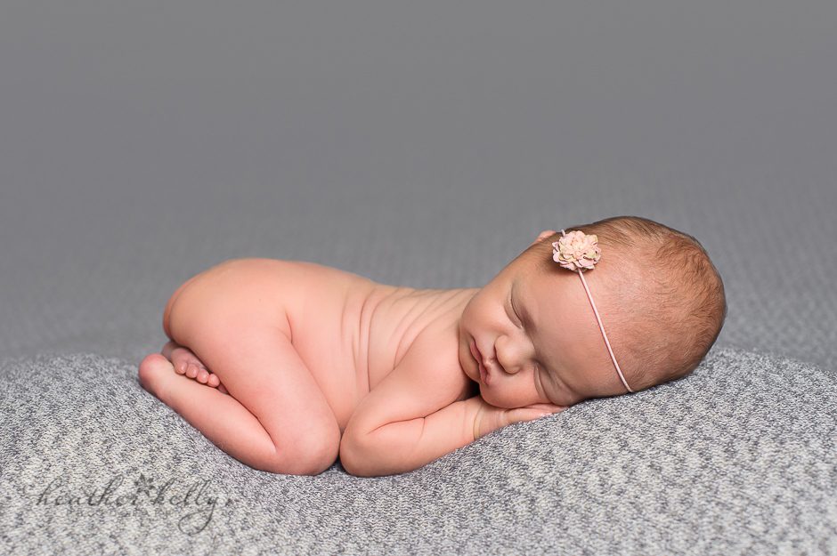 fairfield ct newborn photography ct newborn photographer