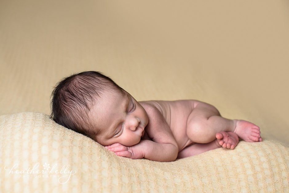 new milford newborn photographer ct newborn photographer
