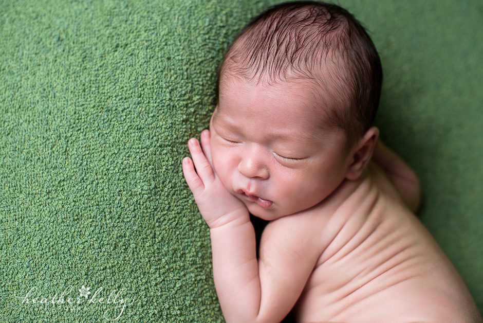 connecticut newborn photographers ct newborn photographer