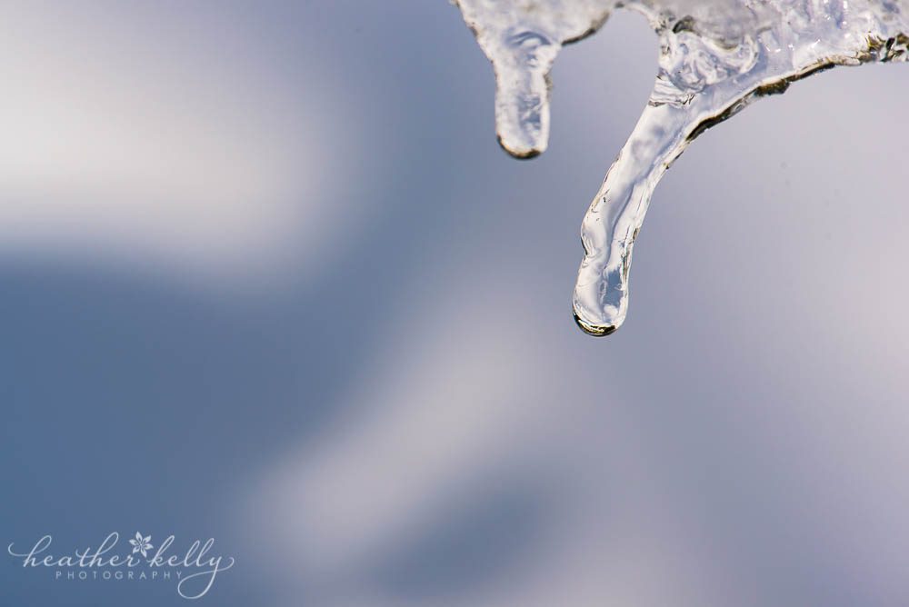 macro icicle photo the beauty of winter