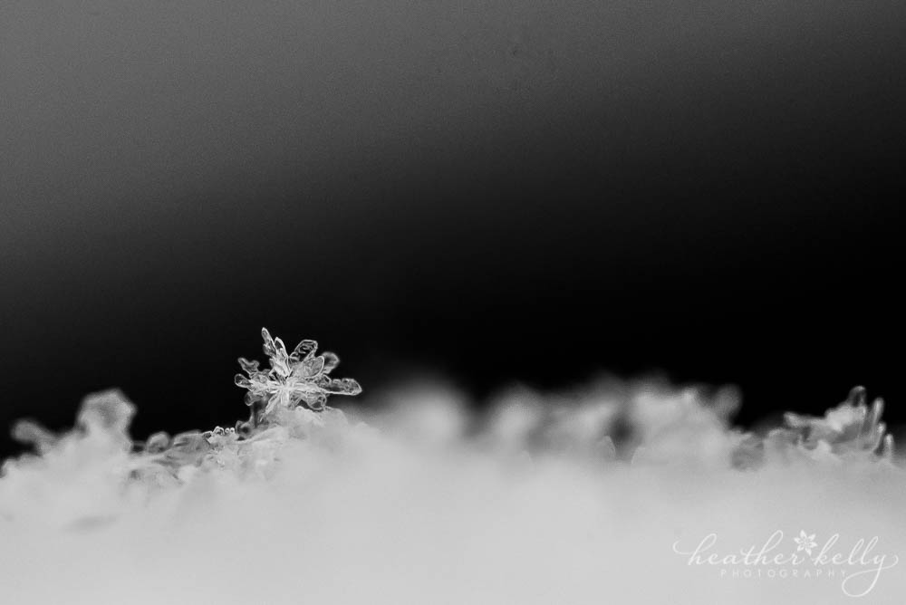 snowflake close up macro photo the beauty of winter