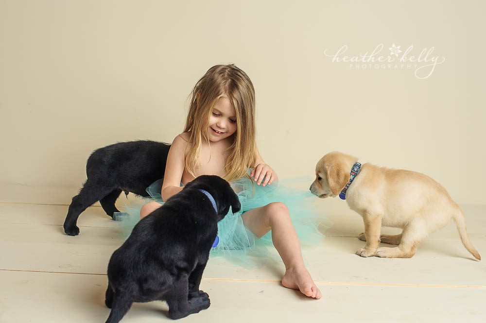 little girl with puppies photo. Newborn puppy photo session in Newtown CT. 