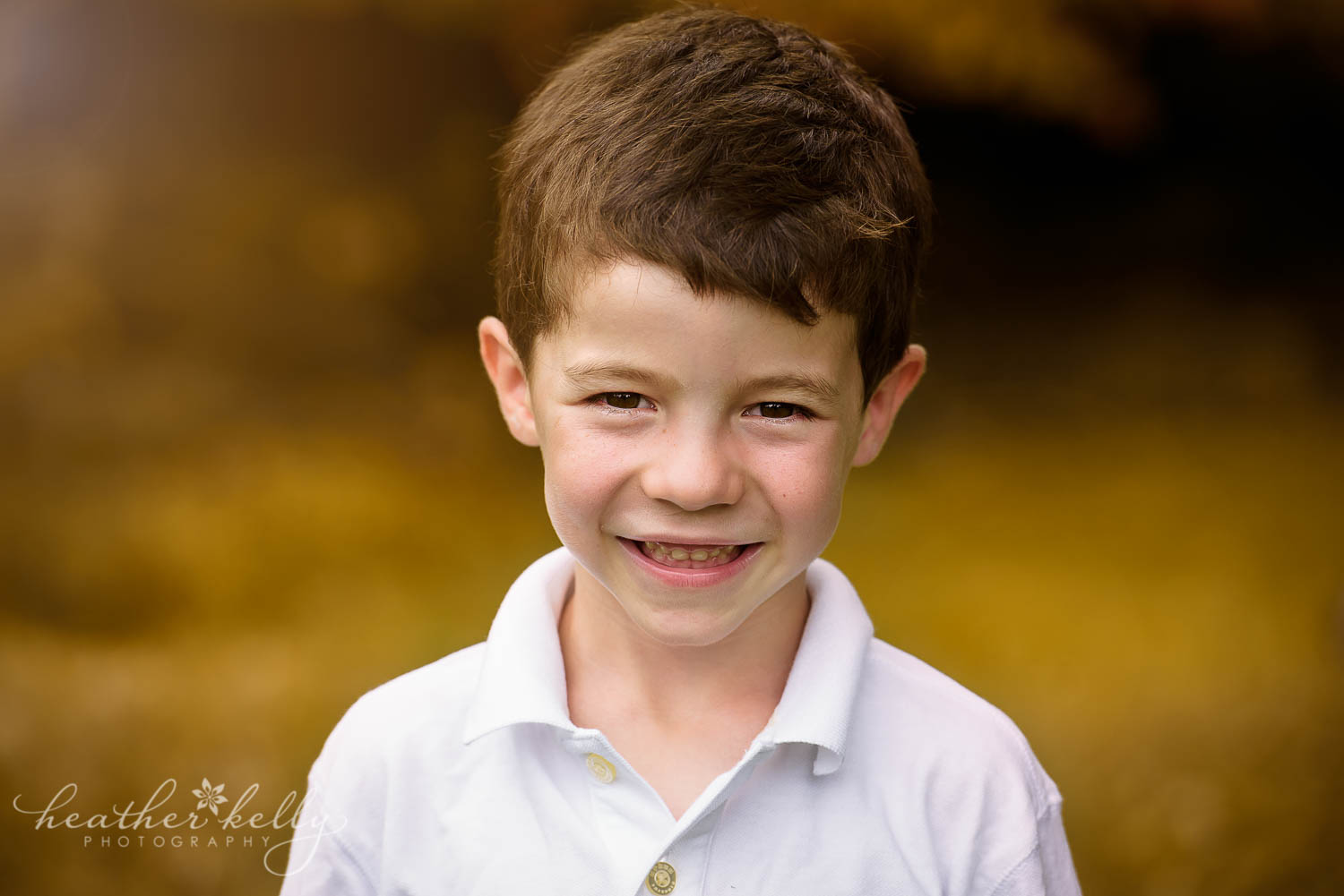 outdoor fall portrait of boy. new canaan family photos ct photography