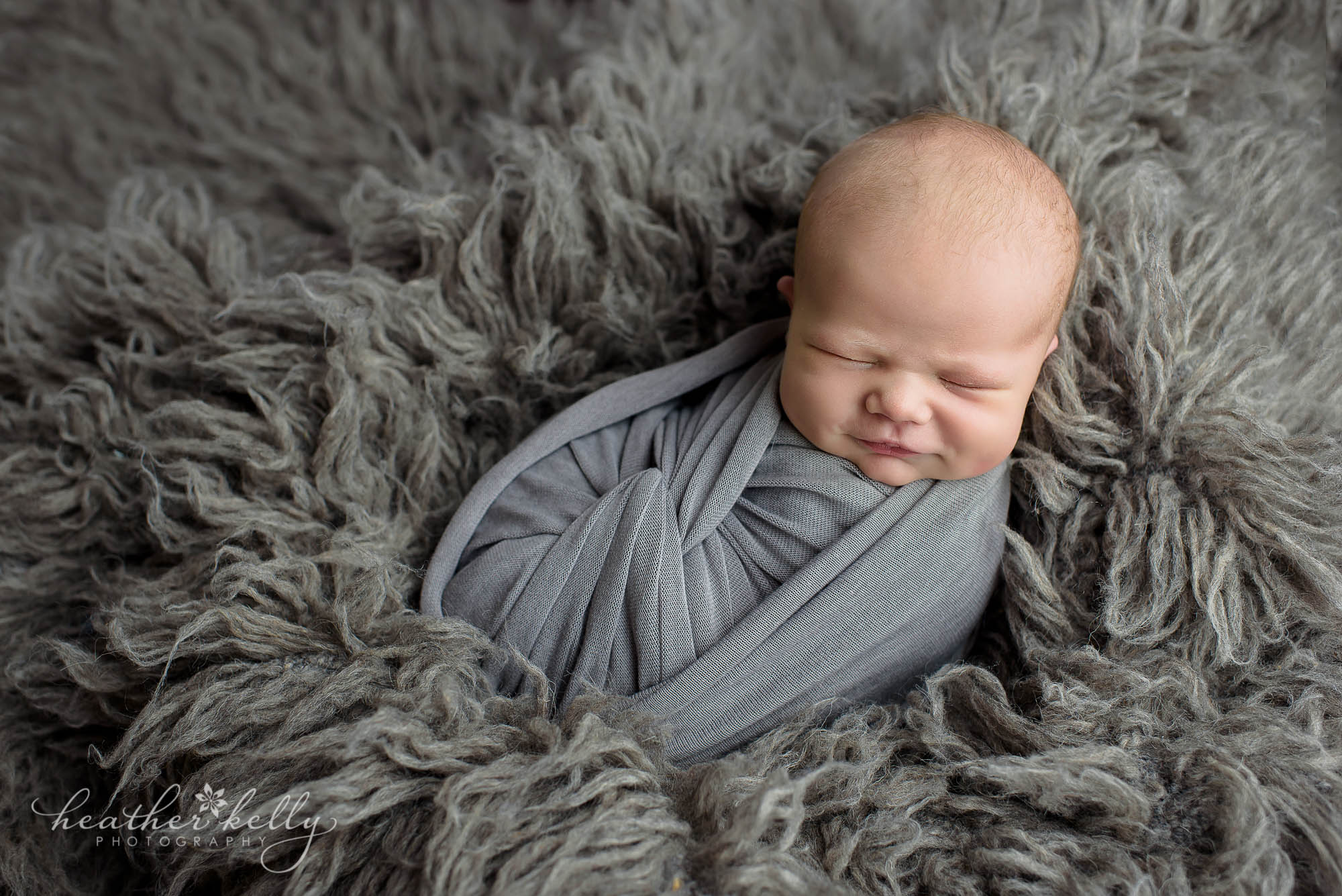 newborn photos. boy gray on gray. newington ct
