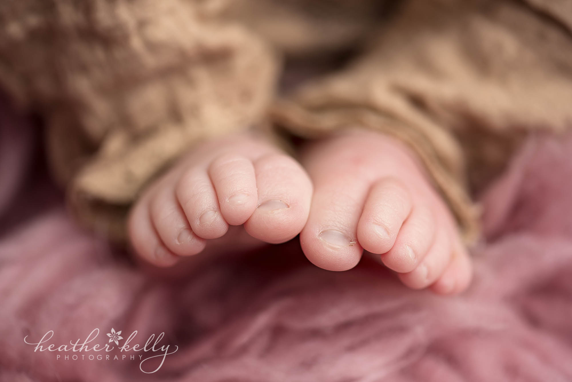 newborn toes macro. brookfield newborn photos