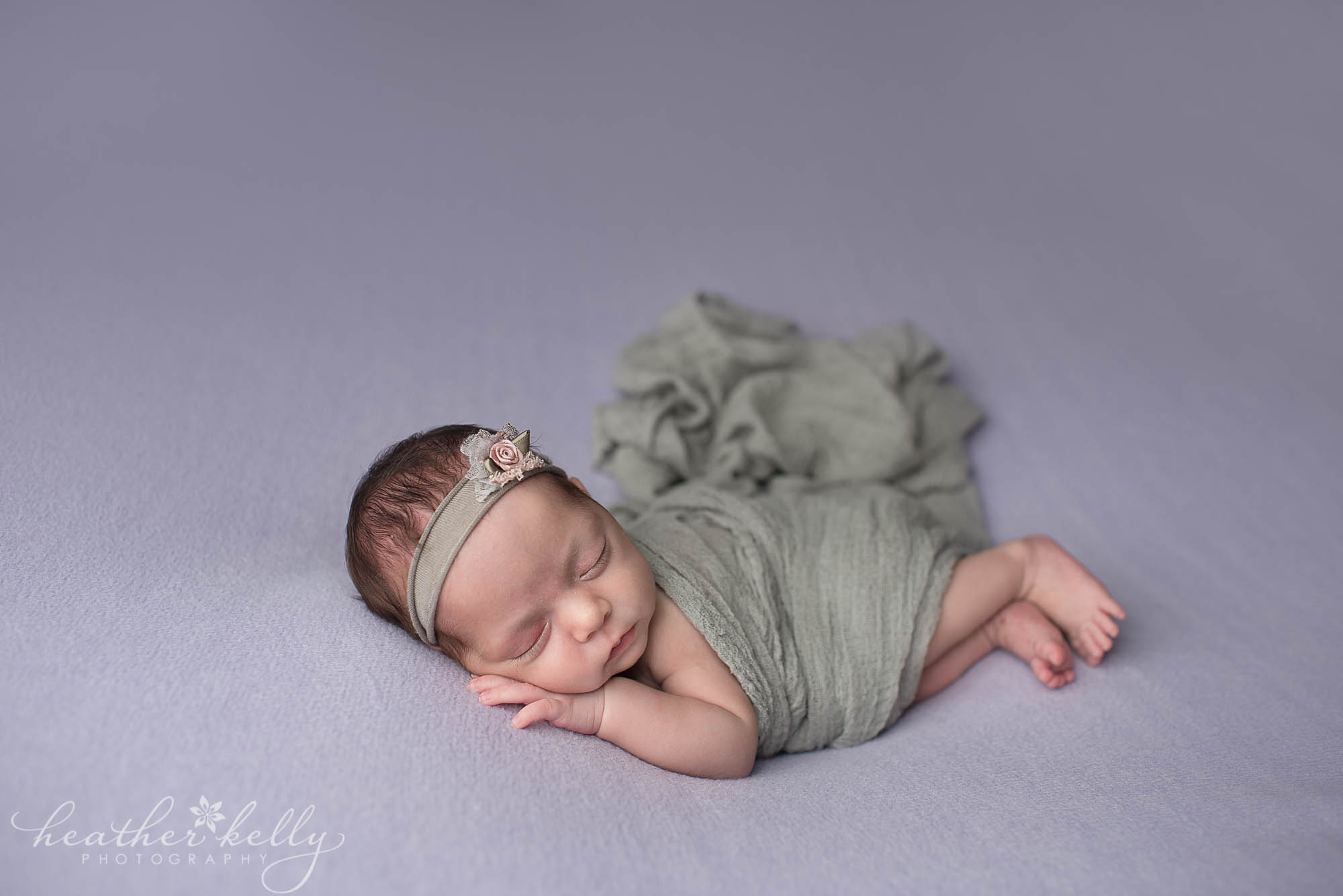 lavender and gray newborn photography