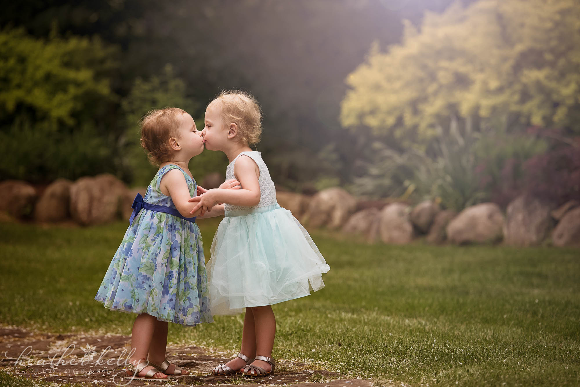 toddler sisters kissing. family photography danbury ct