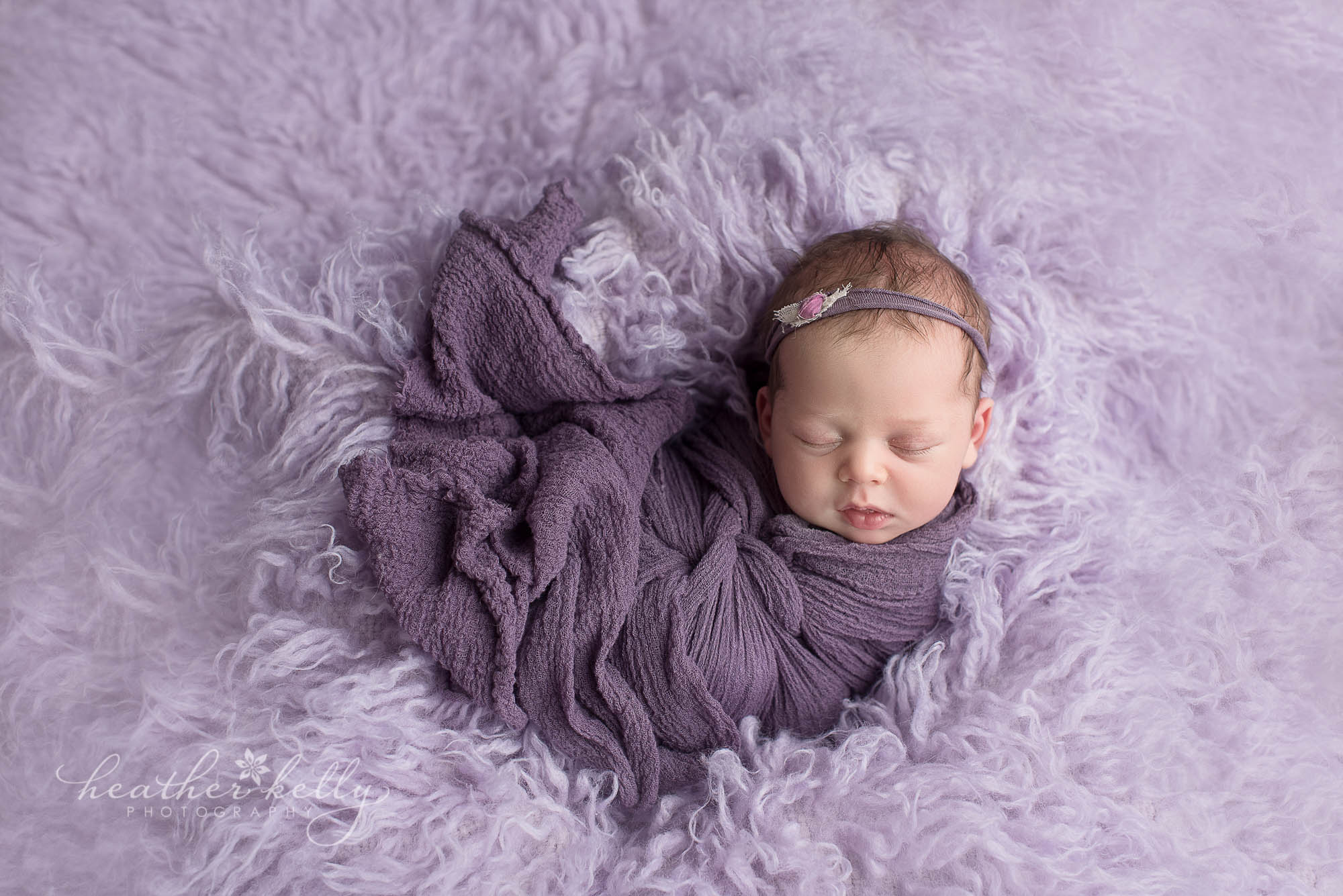 two week old danbury newborn purple