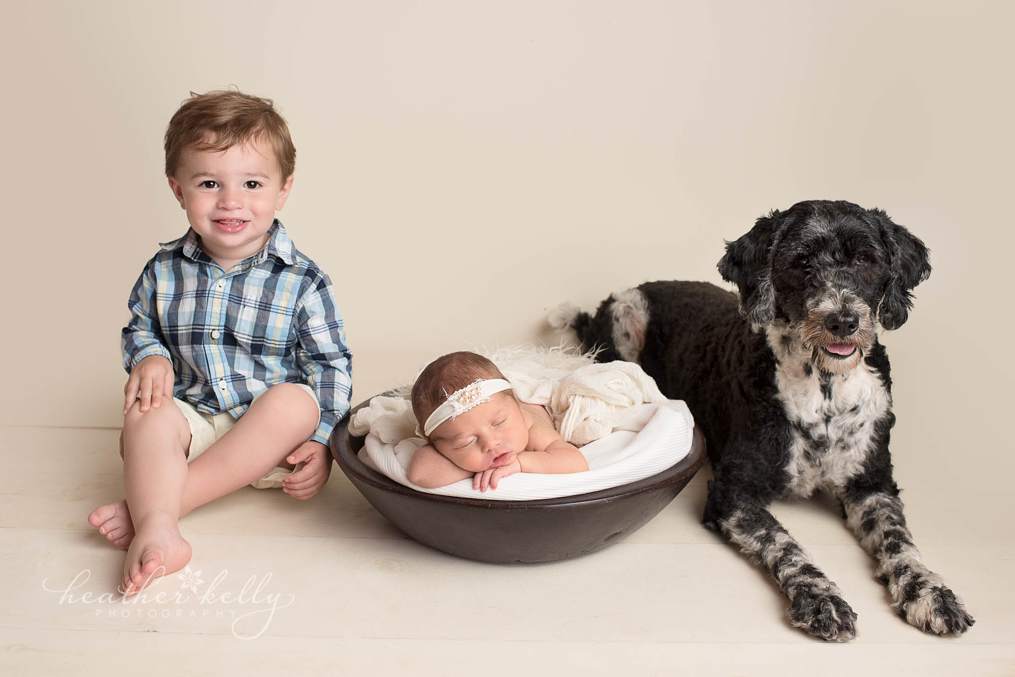 newborn with dog stamford newborn photography