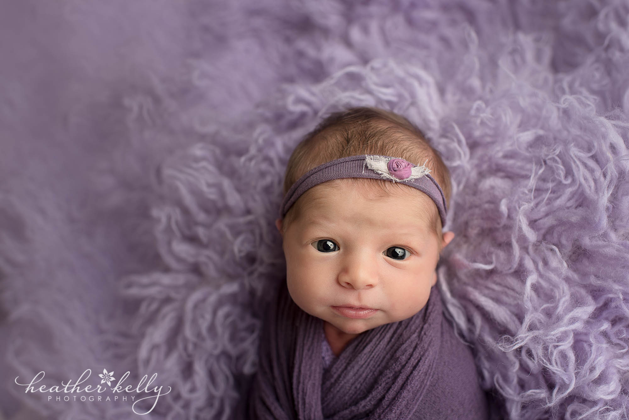 monroe newborn girl purple ct