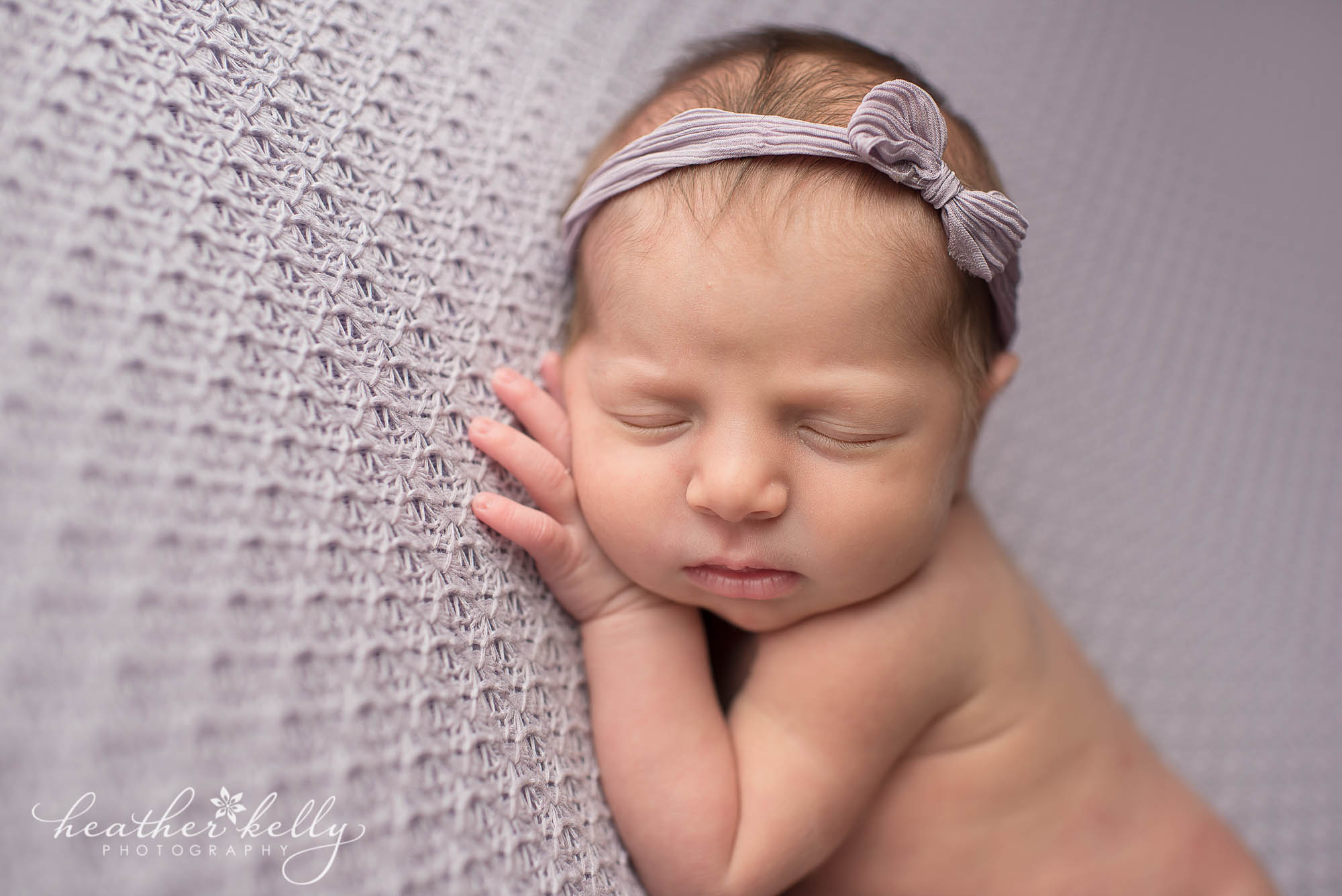 lavender monroe newborn girl photography