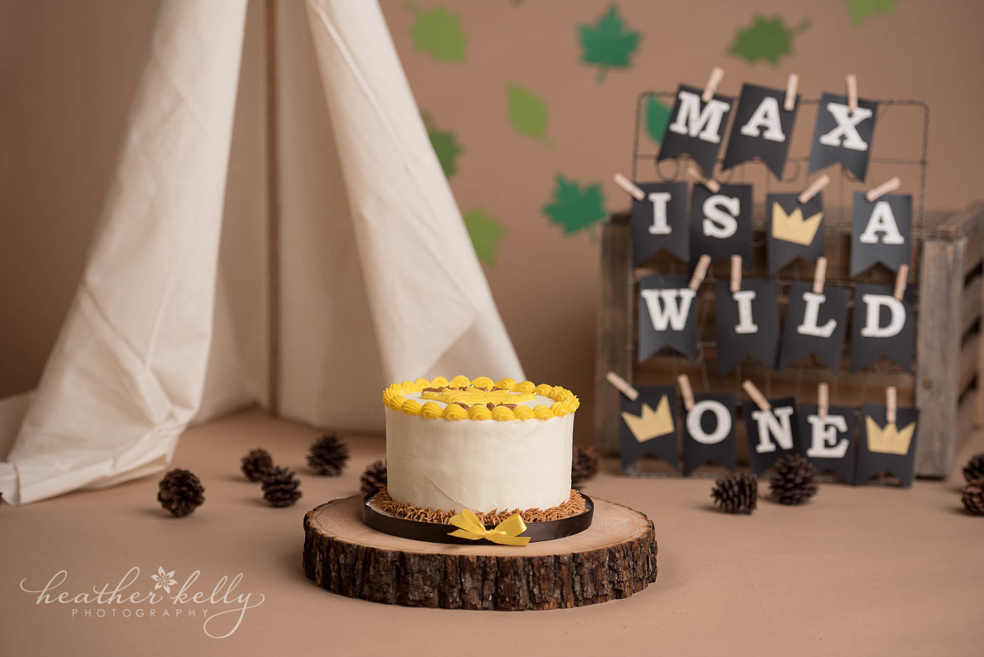 where the wild things are cake smash