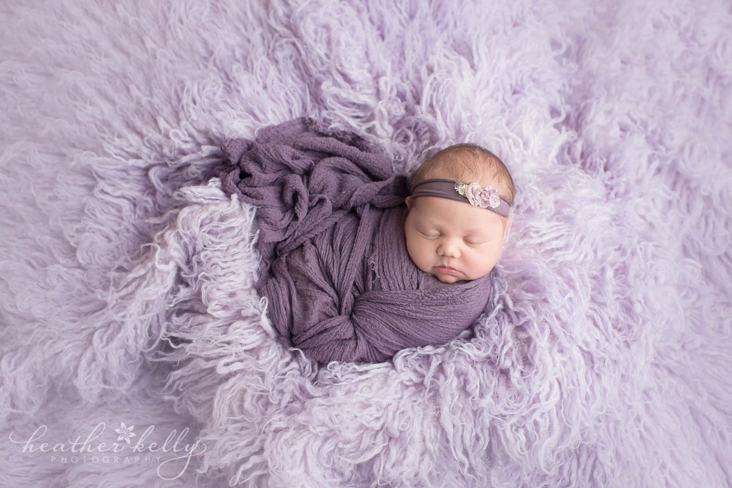 shelton newborn photography. baby girl wrapped in purple. 