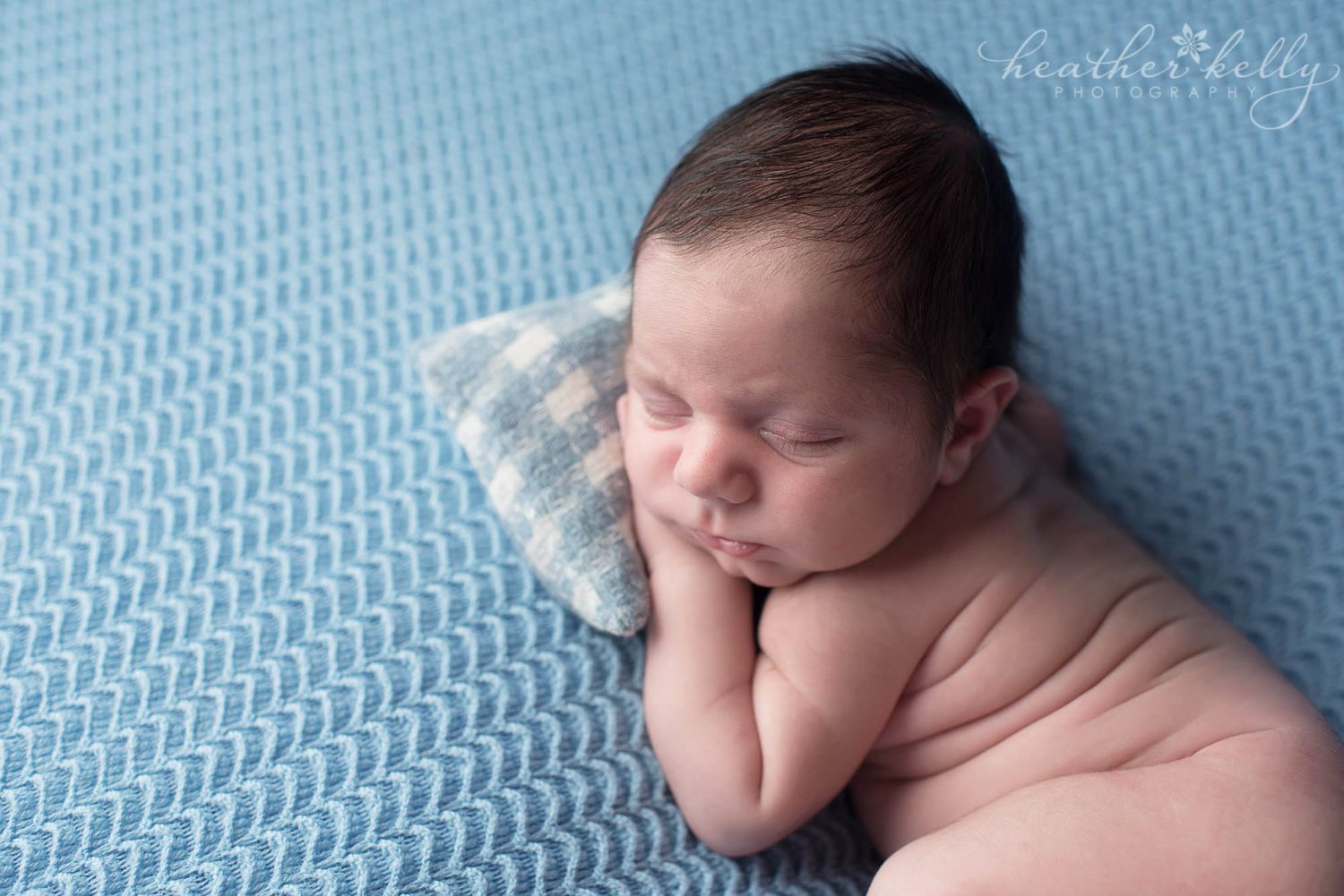 newborn photography harrison ny