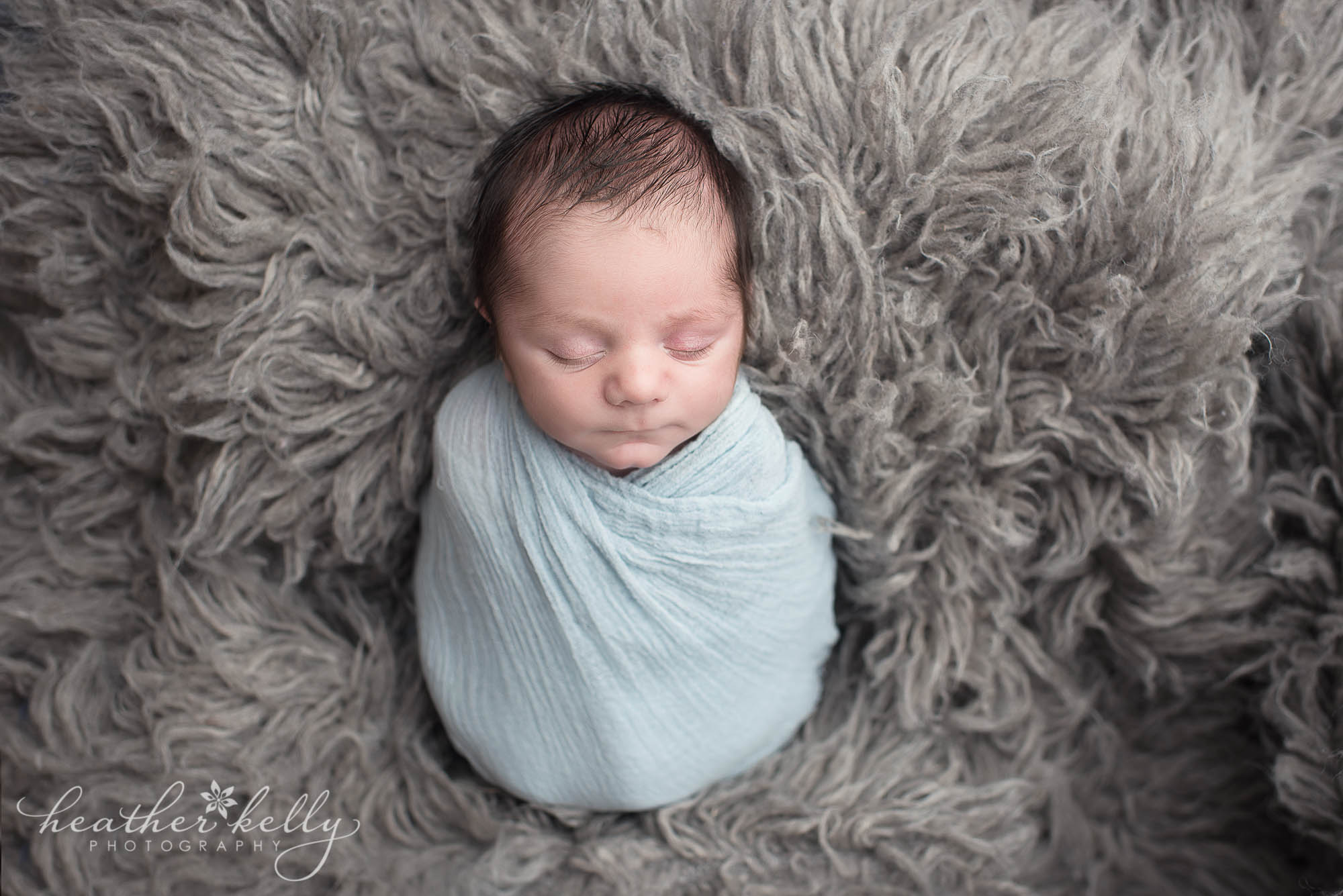 harrison ny newborn photography