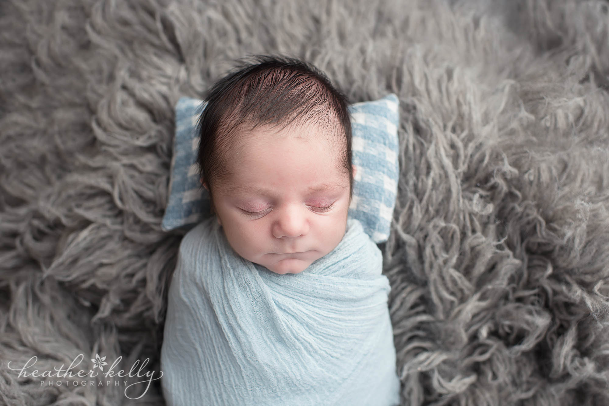 harrison ny newborn photography