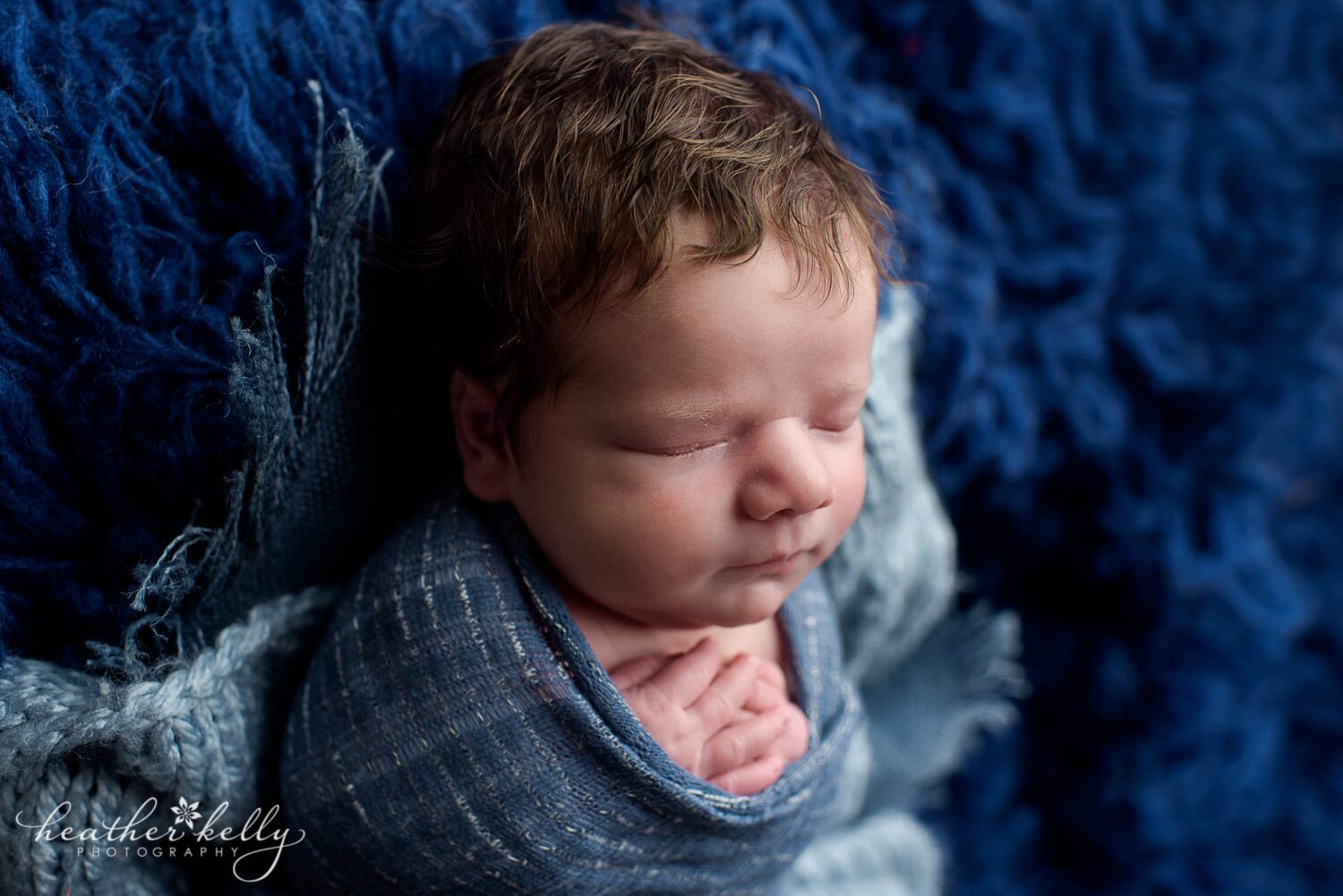 brookfield ct newborn photos