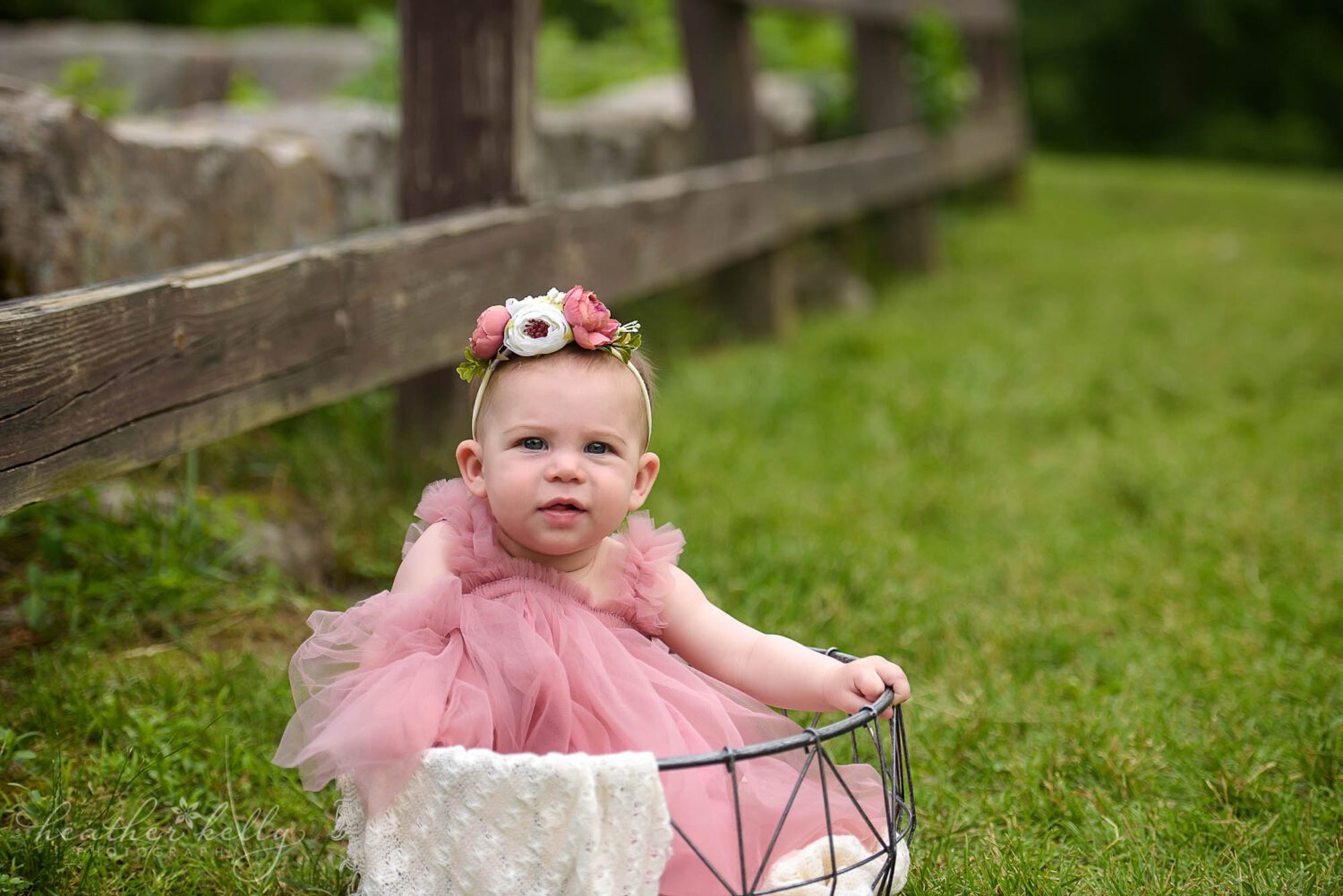 mahopac ny family photography

6 month old girl in pink dress and flower headband sits in a wire basket outside near a wooden fence. 