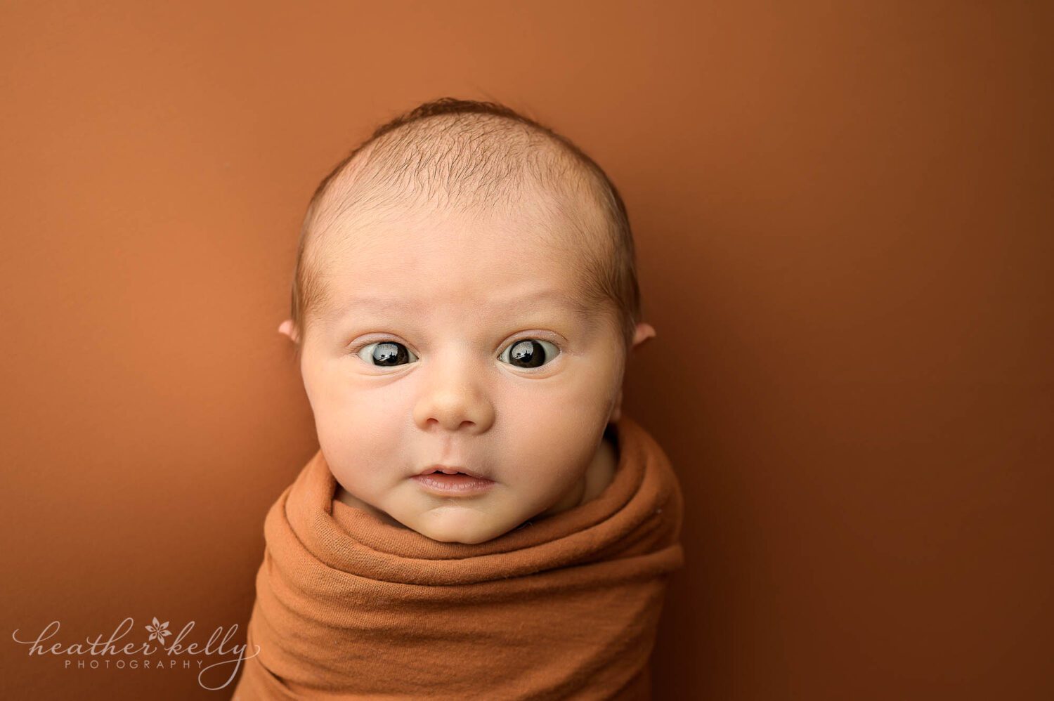 during a newborn photography session, a baby boy is wrapped in rust and stares at the camera with wide open eyes