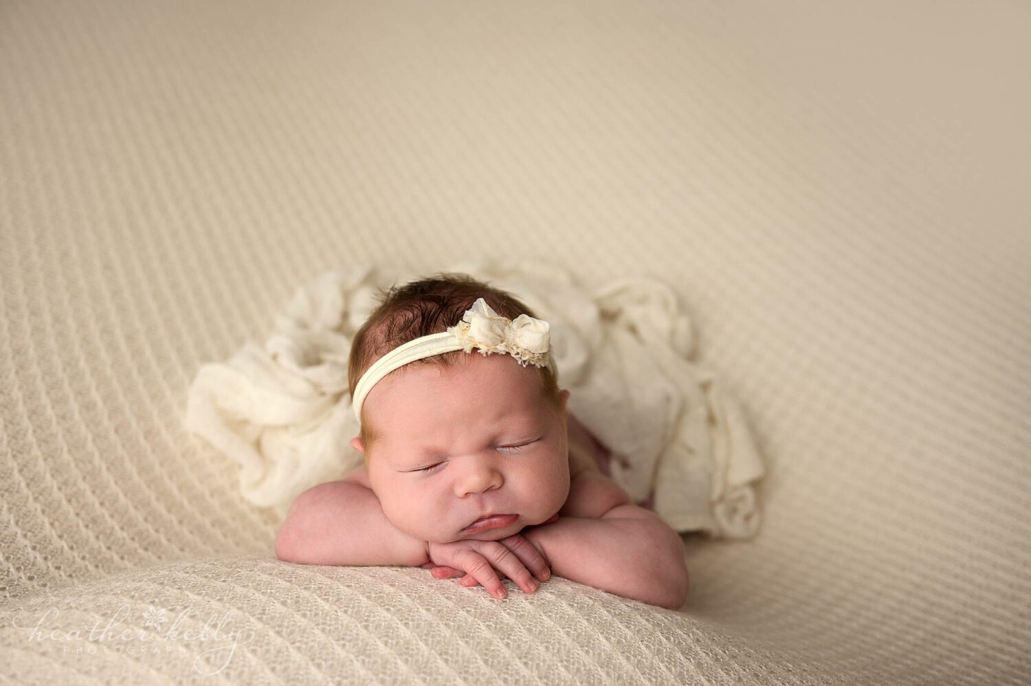 a newborn photo on a white backdrop. 